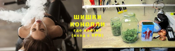 прущие грибы Абинск