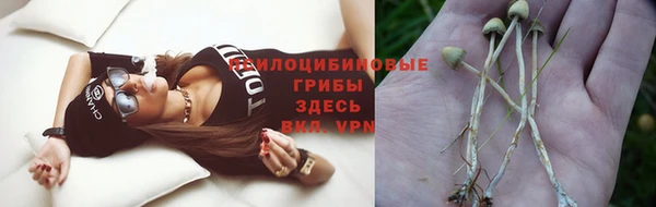 кокс Абдулино